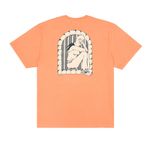 Camiseta-OUS-Janela-Pessego