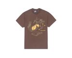 Camiseta-Anfibio-Chocolate