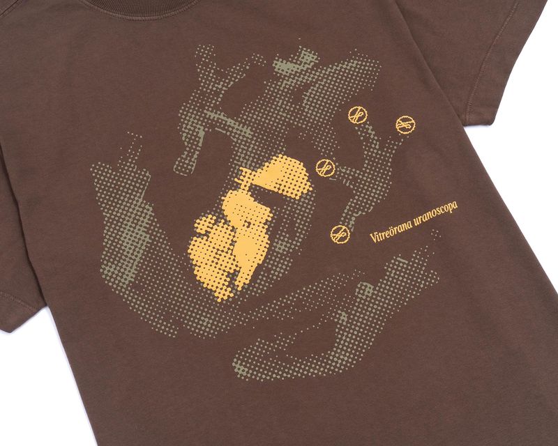 Camiseta-Anfibio-Chocolate