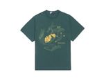 Camiseta-Anfibio-Verde