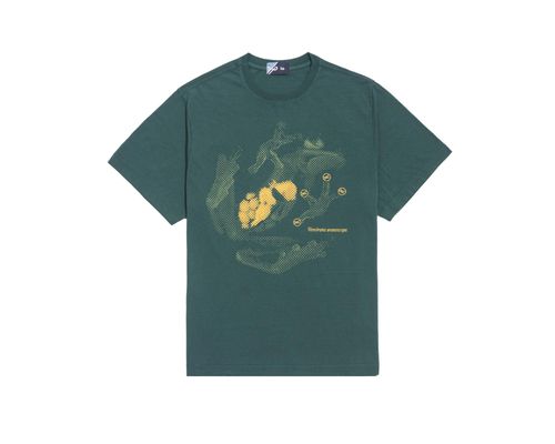 Camiseta Anfíbio Verde