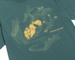 Camiseta-Anfibio-Verde