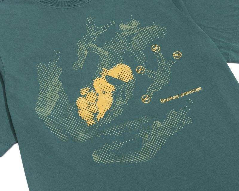Camiseta-Anfibio-Verde